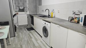 a kitchen with a sink and a washing machine at Modern Family Apartment, Free Parking, Balcony, Sleeps 5 in Bucharest