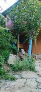 a small house with a tree in front of it at Ambar Cottage in Kullu Manali