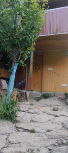 a tree in front of a house with a building at Ambar Cottage in Kullu Manali +3 photos
