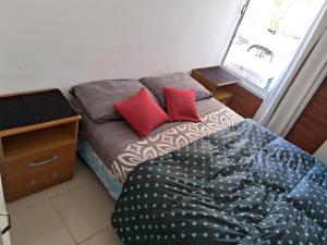 a bed with two red pillows sitting next to a window at Complejo FE LE SA in Las Grutas