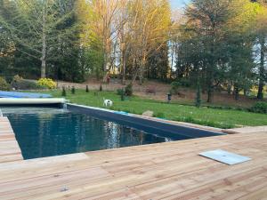 a pool of water with a dog standing next to it at My lilifab in Saint-Saud-Lacoussière
