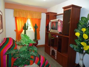 a living room with a tv and a plant at Hotel Selena 1 in Huaraz