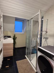 a small bathroom with a shower and a sink at Peaceful Pad in Brussels