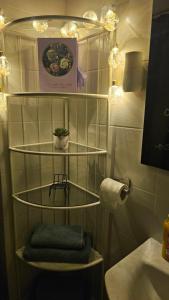 a bathroom with a shelf with a potted plant on it at Modern Family Apartment, Free Parking, Balcony, Sleeps 5 in Bucharest +35 photos