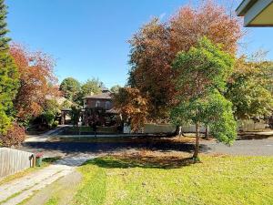 a tree in the yard of a house at Doncaster Westfiled House 4BD in Doncaster