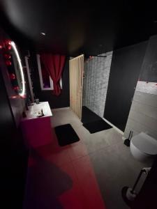 a bathroom with a white toilet and a sink at La nuit éternelle in Amilly