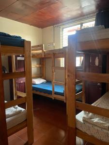 a group of bunk beds in a room at VitaHostal in León