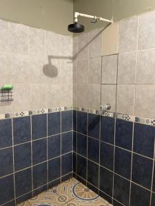a bathroom with a shower with blue tiles at VitaHostal in León