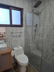 a bathroom with a toilet and a glass shower at Palguin pad loft # 1 in Pucón +4 photos