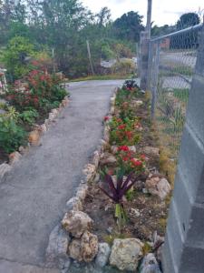 a garden with red flowers next to a fence at Carol Resident in The Grove