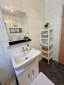 a bathroom with a sink and a mirror at Traunzeit Apartment in Ebensee +57 photos