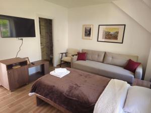 a living room with a couch and a tv at Apartmani PASHA in Nikšić