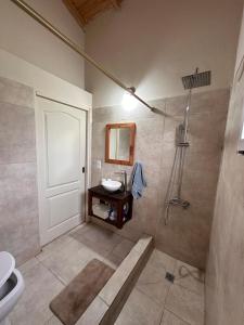 a bathroom with a shower with a sink and a toilet at Cabaña en cañuelas in Cañuelas +12 photos