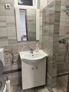 a bathroom with a sink and a mirror at Avram Iancu 365 in Floreşti