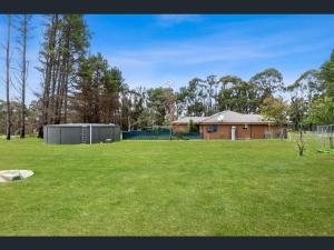 a large yard with a house and a building at Pine Cabin Right A Short Stroll to Zig Zag Railway in Clarence