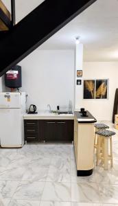 eine Küche mit Spüle und Kühlschrank in der Unterkunft ApartWestern in Chilecito + 16 Fotos