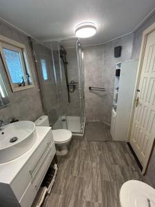 a bathroom with a shower and a sink and a toilet at 208 Chalet Bosrust in Anloo