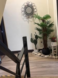 a room with potted plants and a white wall at Mian Bao Homestay in Magong +9 photos