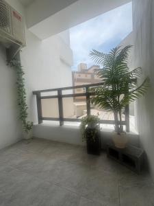 a room with a potted plant and a large window at Mian Bao Homestay in Magong