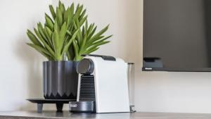 a plant in a vase sitting next to a heater at Mantra Hotel Room in Cairns