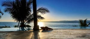 a dog laying on the ground next to a palm tree at Villa Jacuzzi Seaview Villa in Chaweng Noi Beach +34 photos
