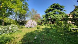 a garden with a weeping willow tree in a yard at B&B la Giorgetta in Pozzolo Formigaro +2 photos