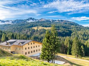 a house on a hill with a tree at Berghotel Wald&Wiesn in Balderschwang