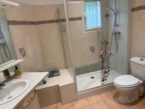 a bathroom with a shower and a toilet and a sink at Chez Christine in Callian +16 photos