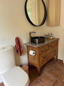 a bathroom with a sink and a toilet and a mirror at Bexhill Grace in Lismore