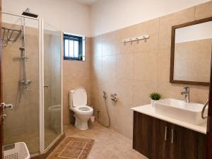 a bathroom with a shower and a toilet and a sink at La Maison d'Isa in Albion +19 photos