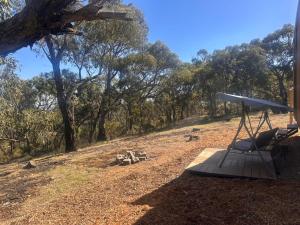 a picnic bench in the middle of a field at Tallarook Hilltop Tiny House 2 by Tiny Away in Tallarook +3 photos