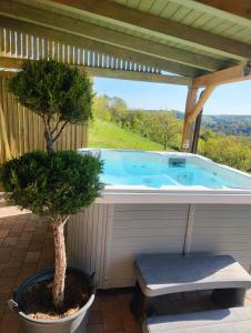 a jacuzzi tub with a potted tree on a patio at KICIKLA Fire & Wine in Nagybakónak