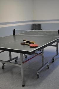 a ping pong table with a ping pong ball on it at Ferienhaus Alicia in Hilders