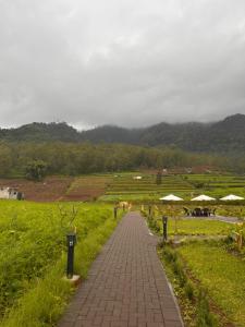 a brick path in a field with tables and umbrellas at Arjuna Hill in Sumberbrantas +15 photos