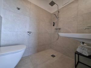 a bathroom with a shower and a toilet and a sink at Refugium am Wald in Feldbach