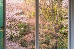 a window with a view of a flowering tree at 스테이 한집 in Suwon