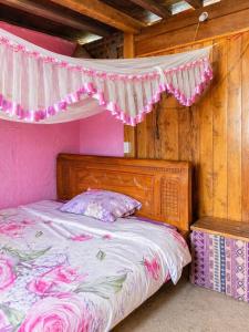 a bedroom with a bed with a canopy and pink walls at PhinFamilyHomestay in Tả Van