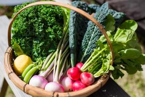 a basket filled with lots of vegetables on a table at Nuu Takedamise, the Villa in Kami-yuge