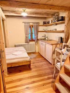 a kitchen with a bed and a sink in a room at Krasná Samota in Chřibská