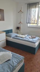 a bedroom with two beds and a window at Apartment Christa in Schwendi