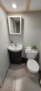 a bathroom with a toilet and a sink and a mirror at Guest house in Shawinigan +7 photos