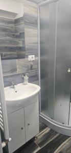 a bathroom with a sink and a shower at Ysa home in Râmnicu Vâlcea +4 photos