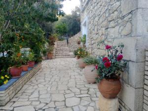 a stone walkway with pots of flowers and plants at Villa Makris in Zenempisátika