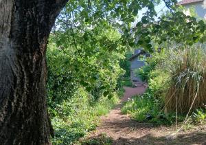 a dirt path in front of a house with a tree at Studio privatif in Figeac