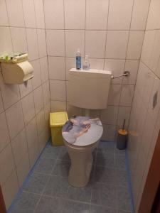 a bathroom with a toilet with the lid up at Privatzimmer Daniela und Hubert Gosch in Mixnitz