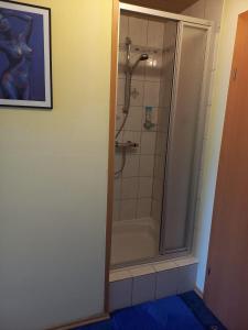 a bathroom with a shower with a glass door at Privatzimmer Daniela und Hubert Gosch in Mixnitz +4 photos