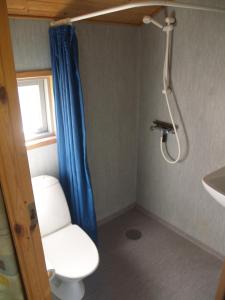 a bathroom with a toilet and a blue shower curtain at Vejle City Camping in Vejle +25 photos