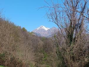 In der Ferne, hinter Bäumen, ein schneebedeckter Berg. in der Unterkunft CA d'ADUA in Pray