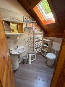 a bathroom with a sink and a toilet at Turistična kmetija Čerček in Solčava