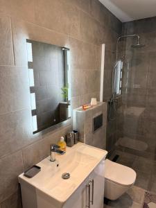a bathroom with a sink and a toilet and a shower at Kwiatowy Zakątek na Zaciszu in Radocza